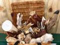 Natural Treat Bundle