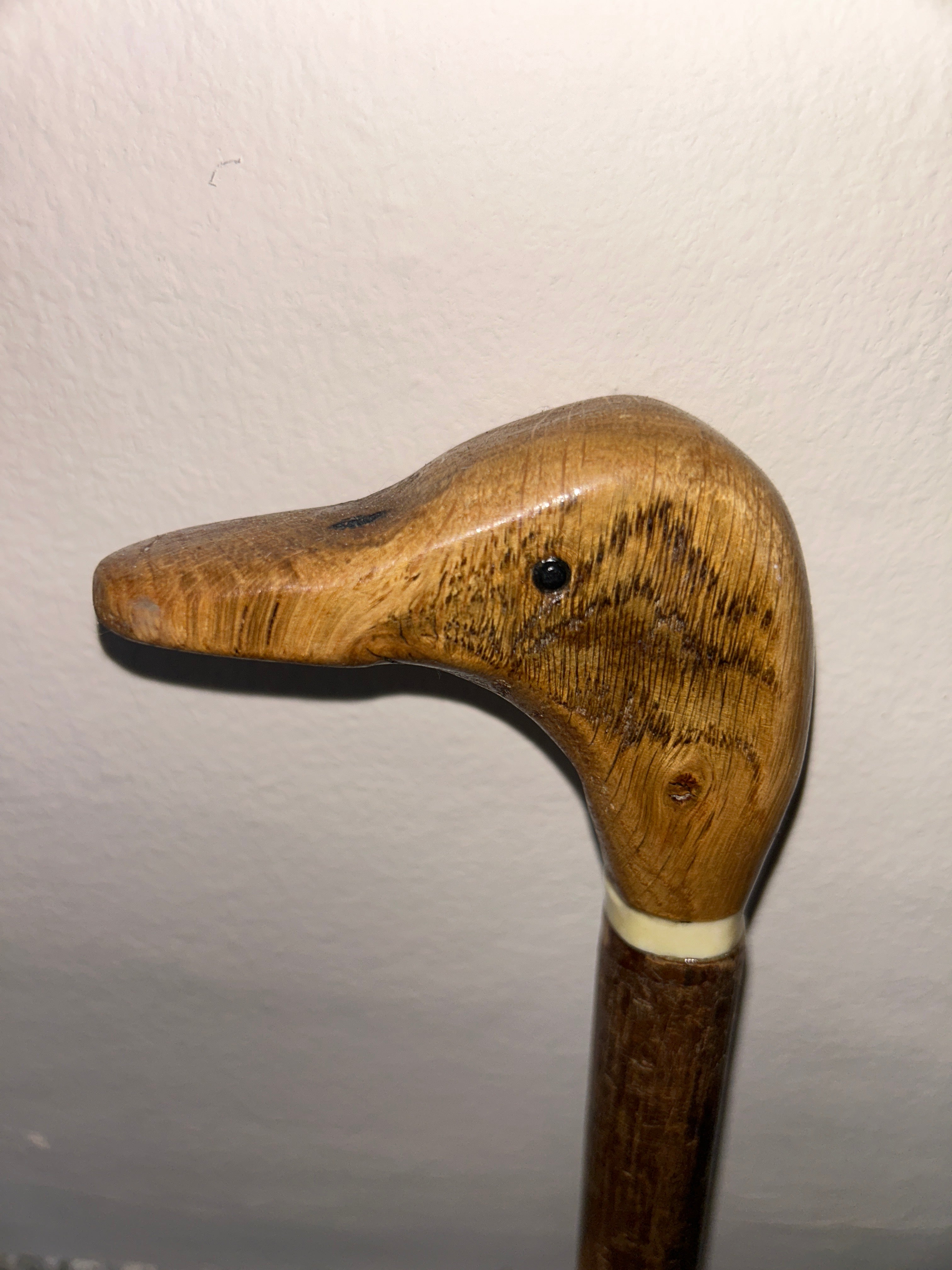 Walking stick