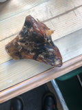 Ostrich knee