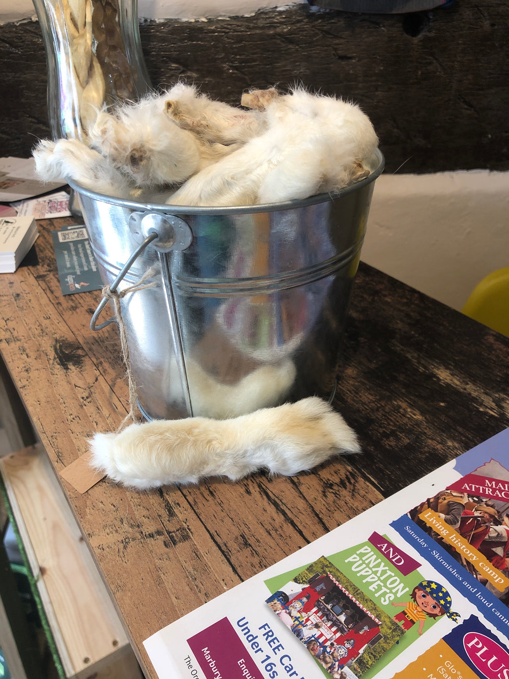 Hairy Rabbit Feet