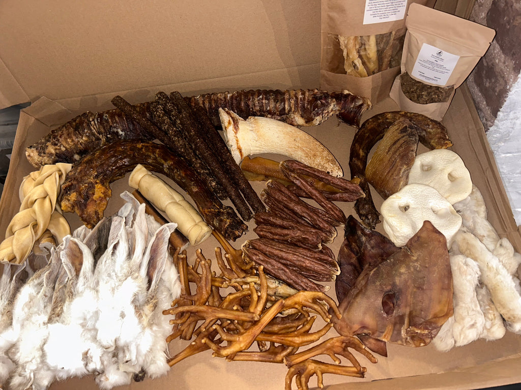 100 Piece Treat Bundle