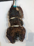 Cock Pheasant Pelt Size: 1lb