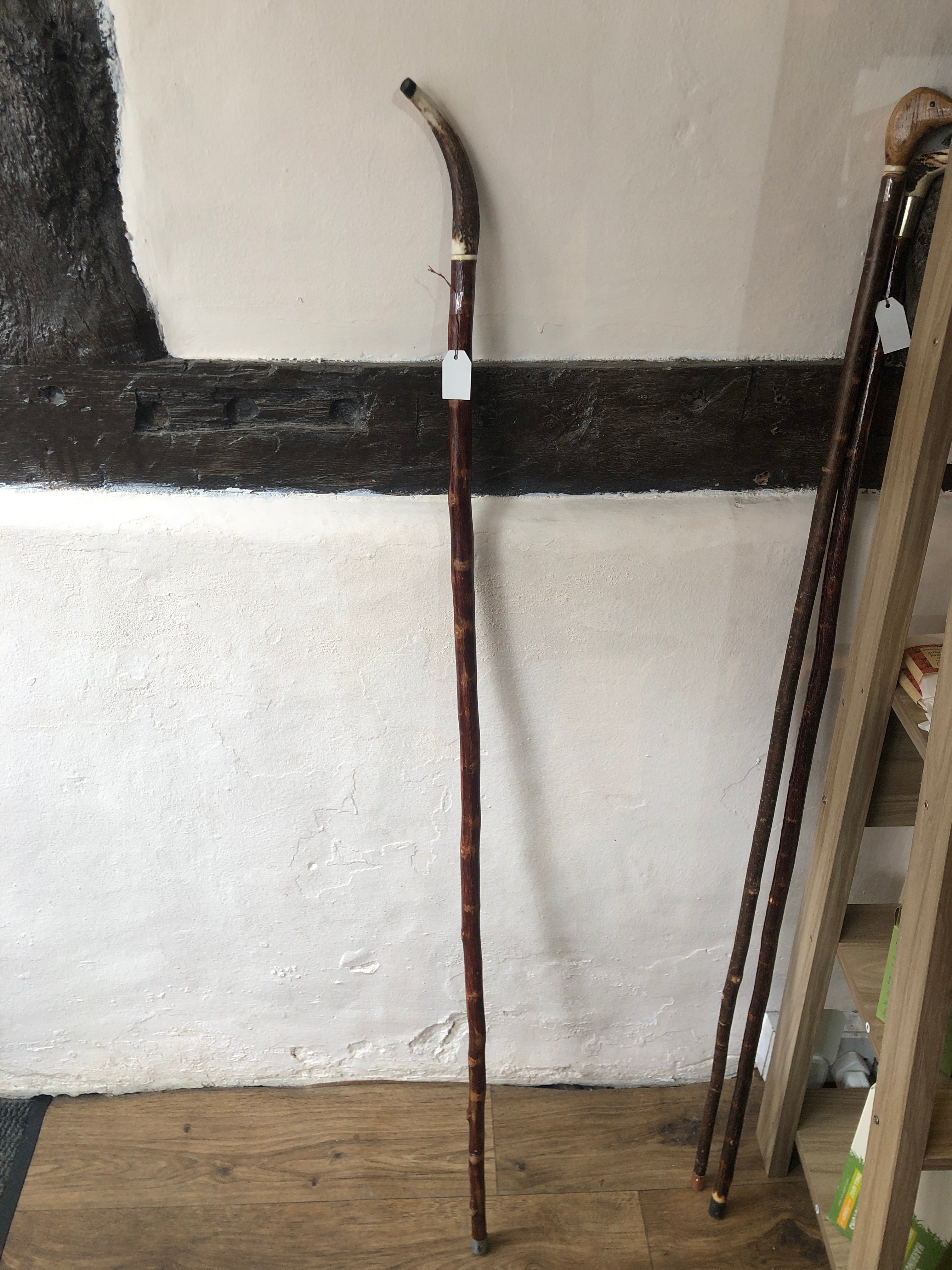 Walking stick