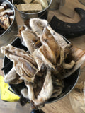 Hairy Lamb Ears