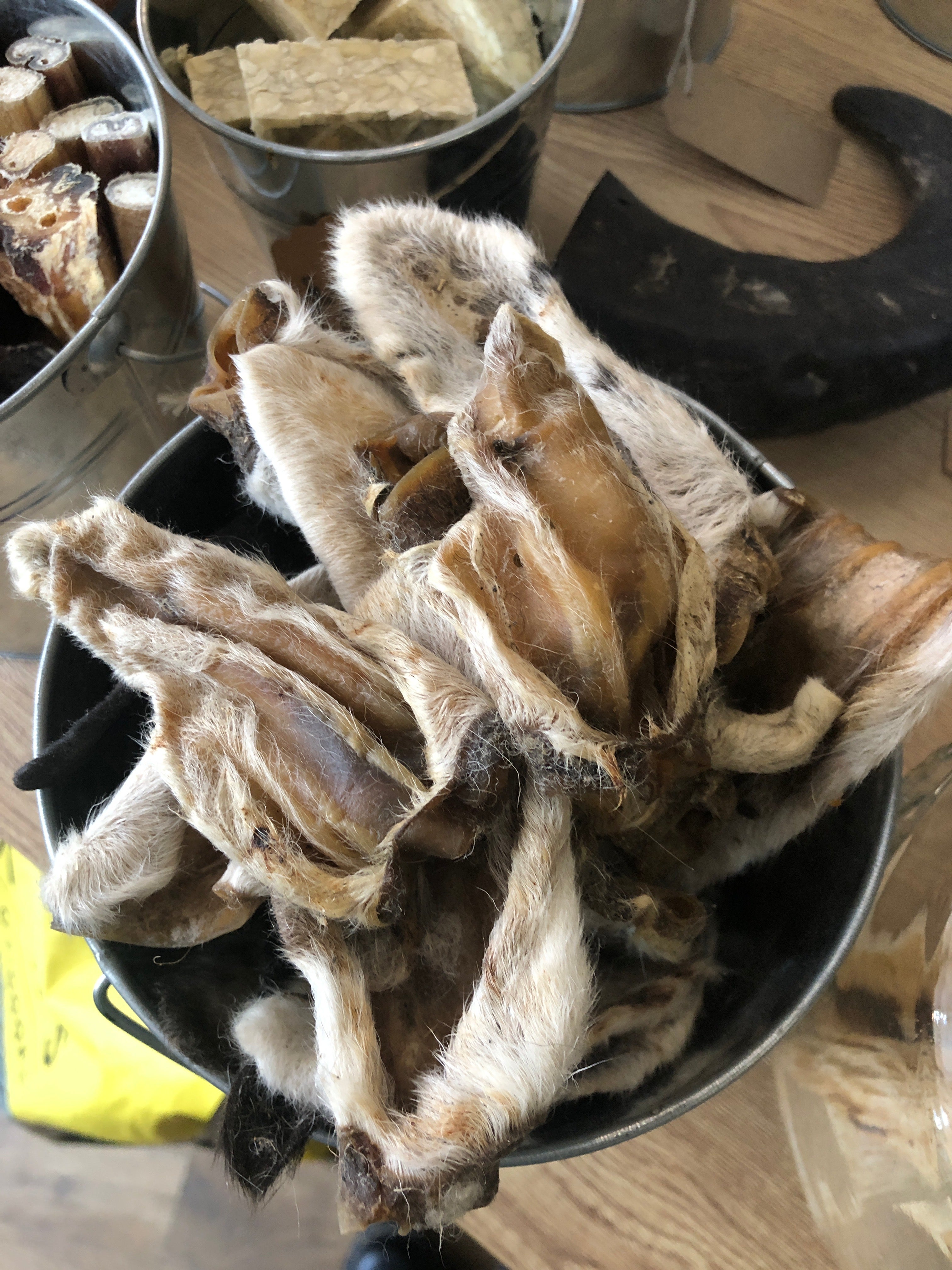 Hairy Lamb Ears