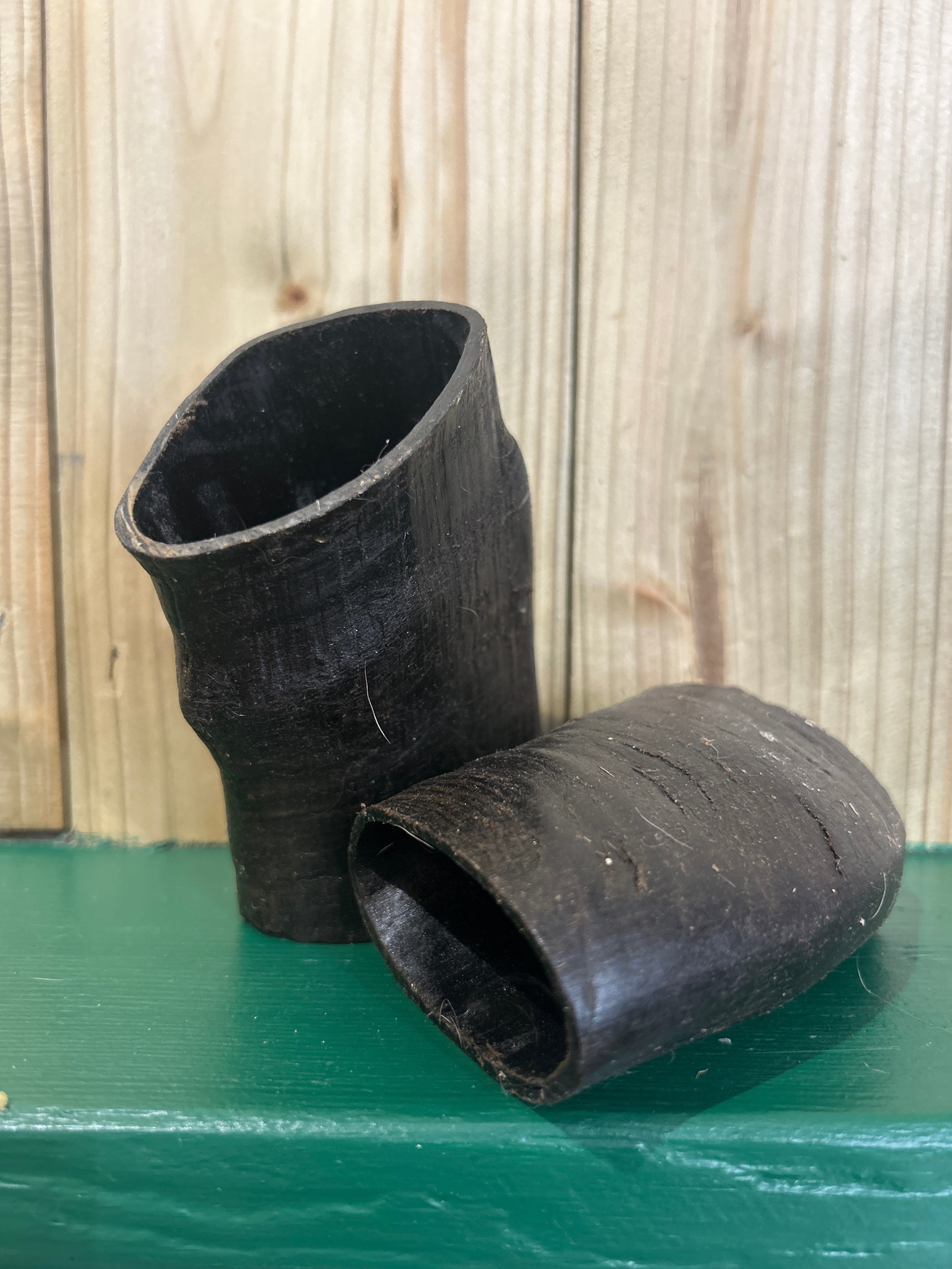 Buffalo Horn