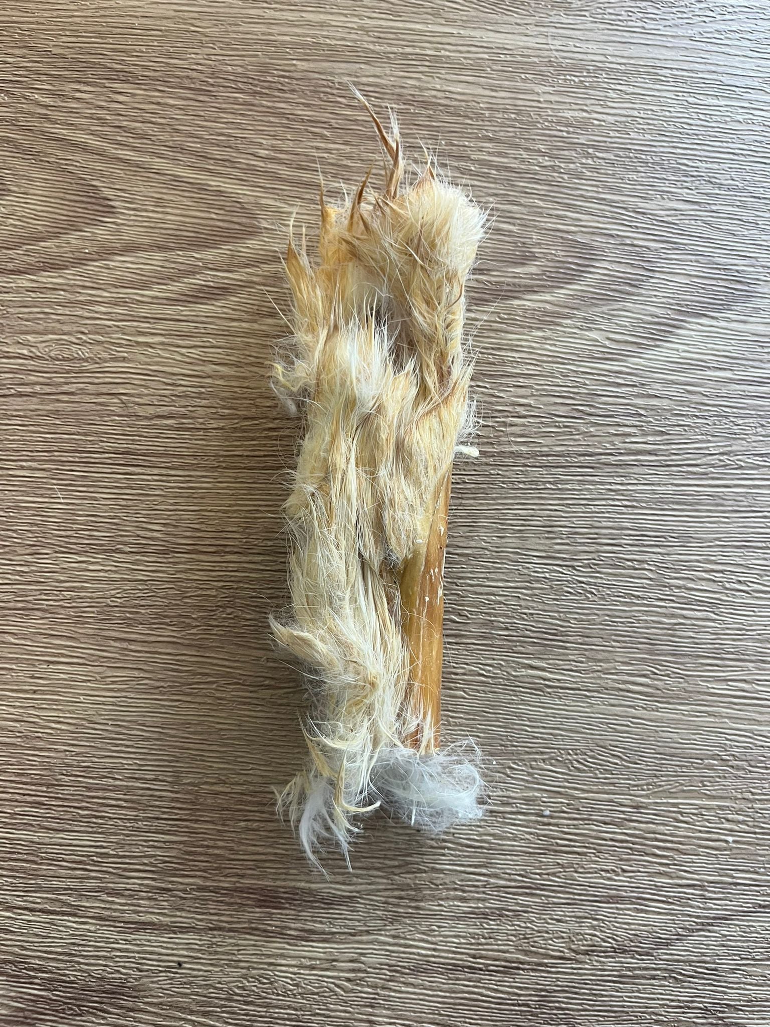 Rabbit hide