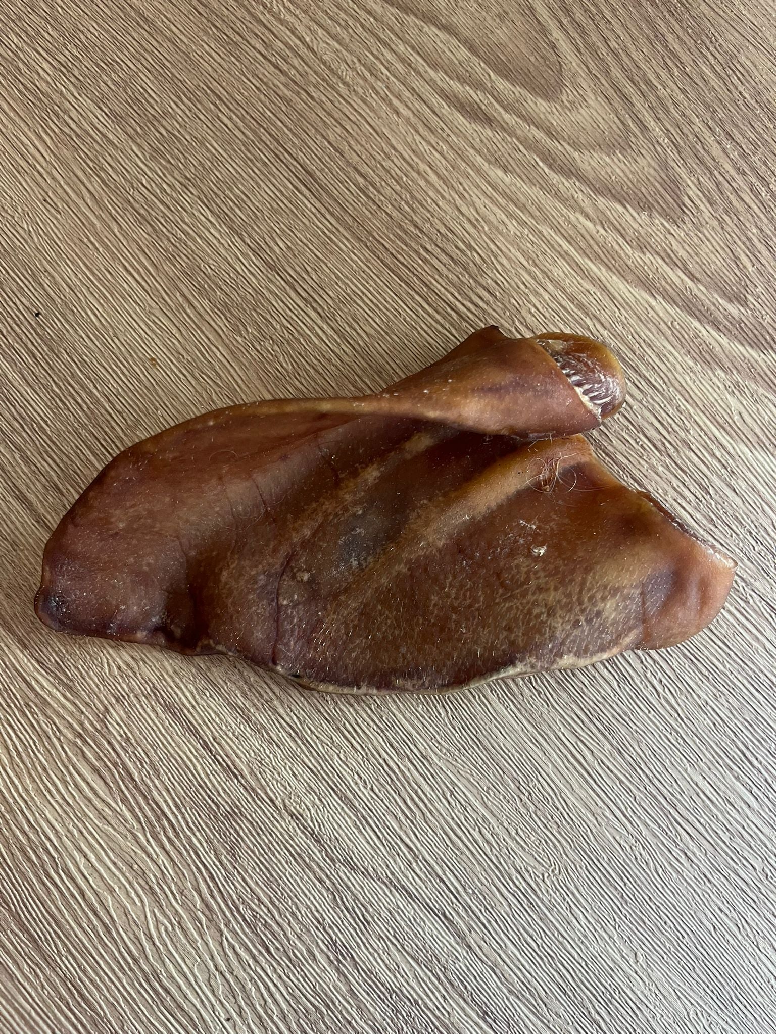 XL Pig Ear