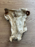 XL Beef Bark with Hair - Natural Dog Chew for Strong Chewers