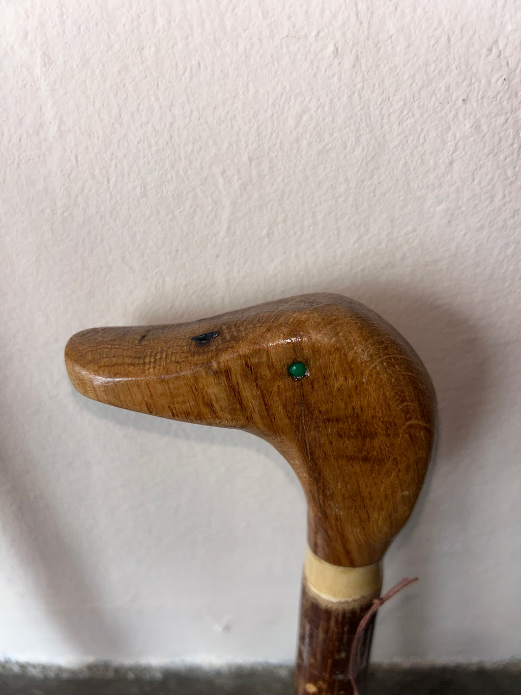 Walking stick