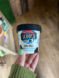Scoop's Vanilla Ice Cream