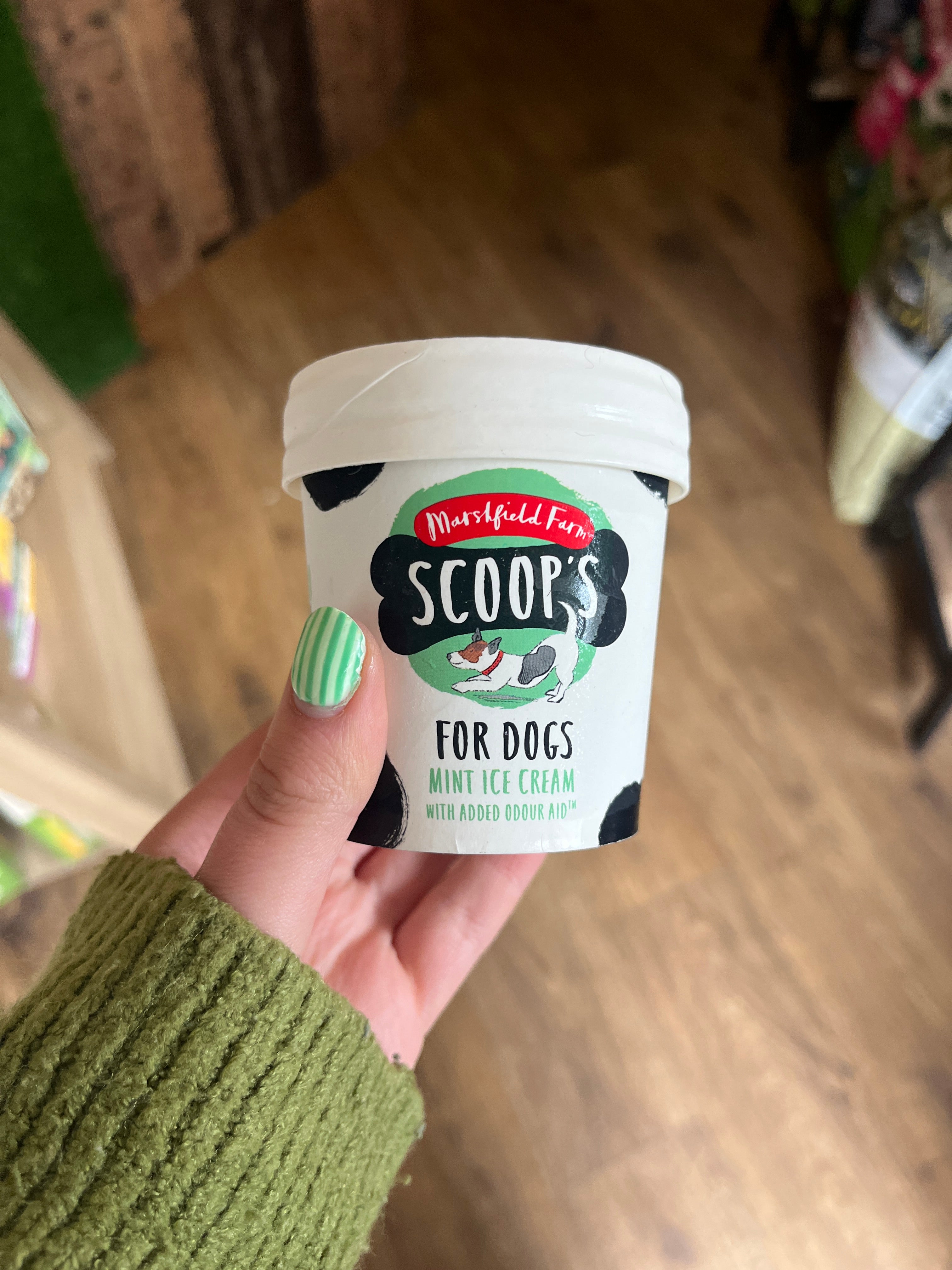 Scoop's Mint Ice Cream