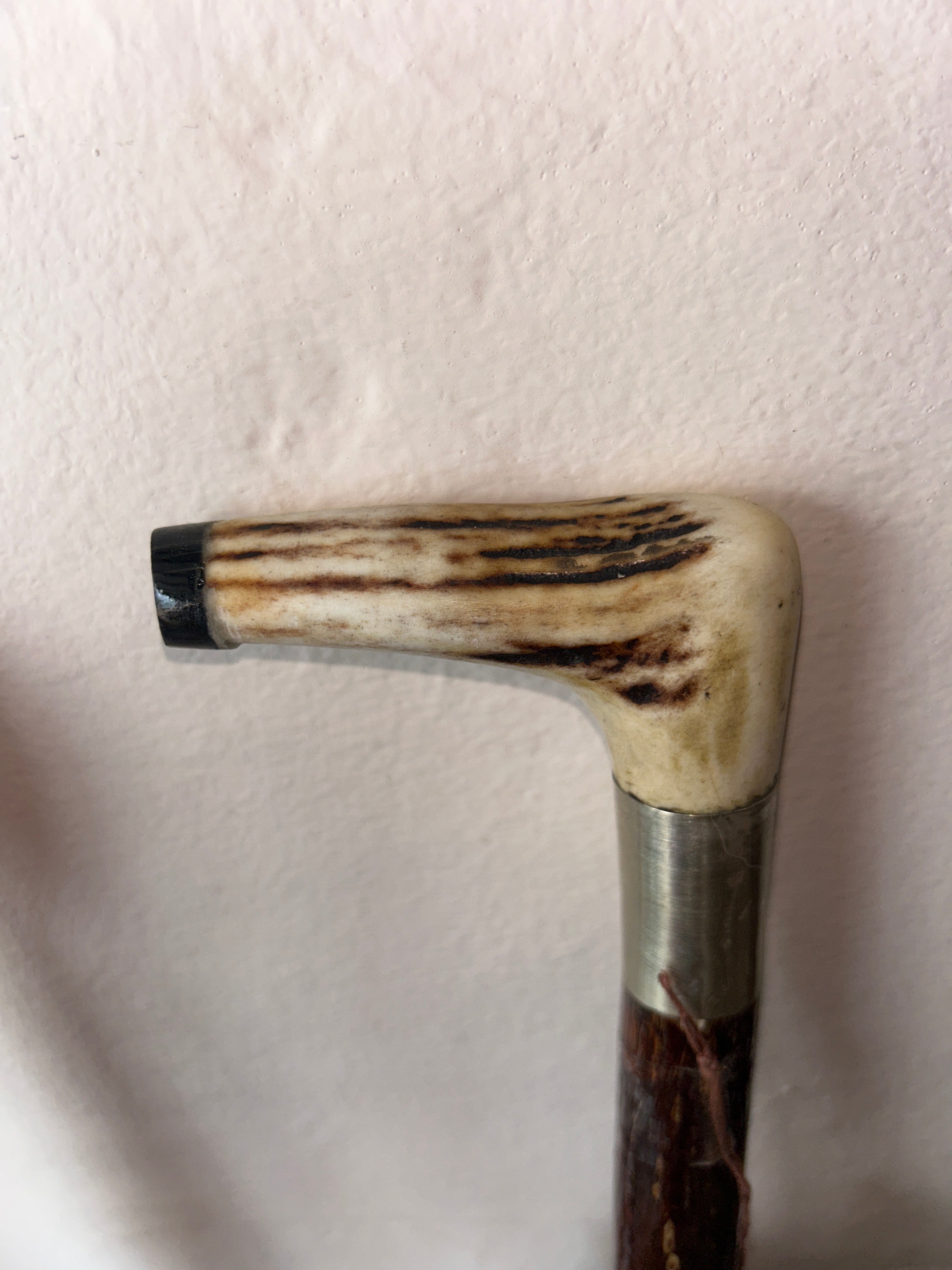 Walking stick