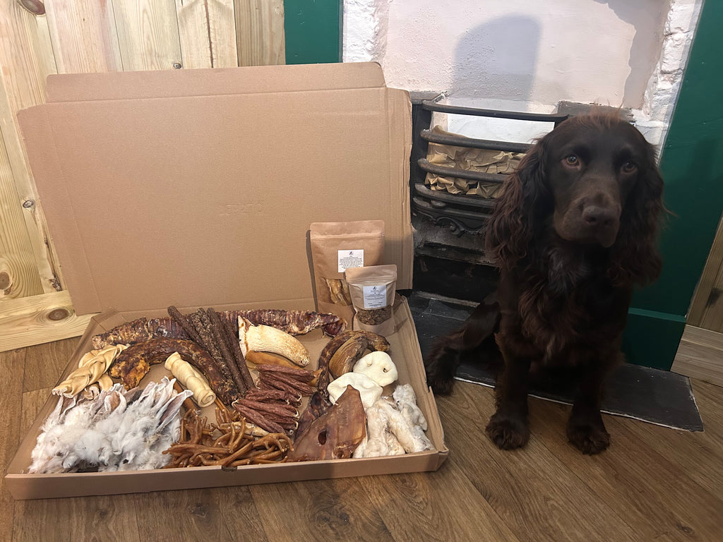 100 Piece Treat Bundle