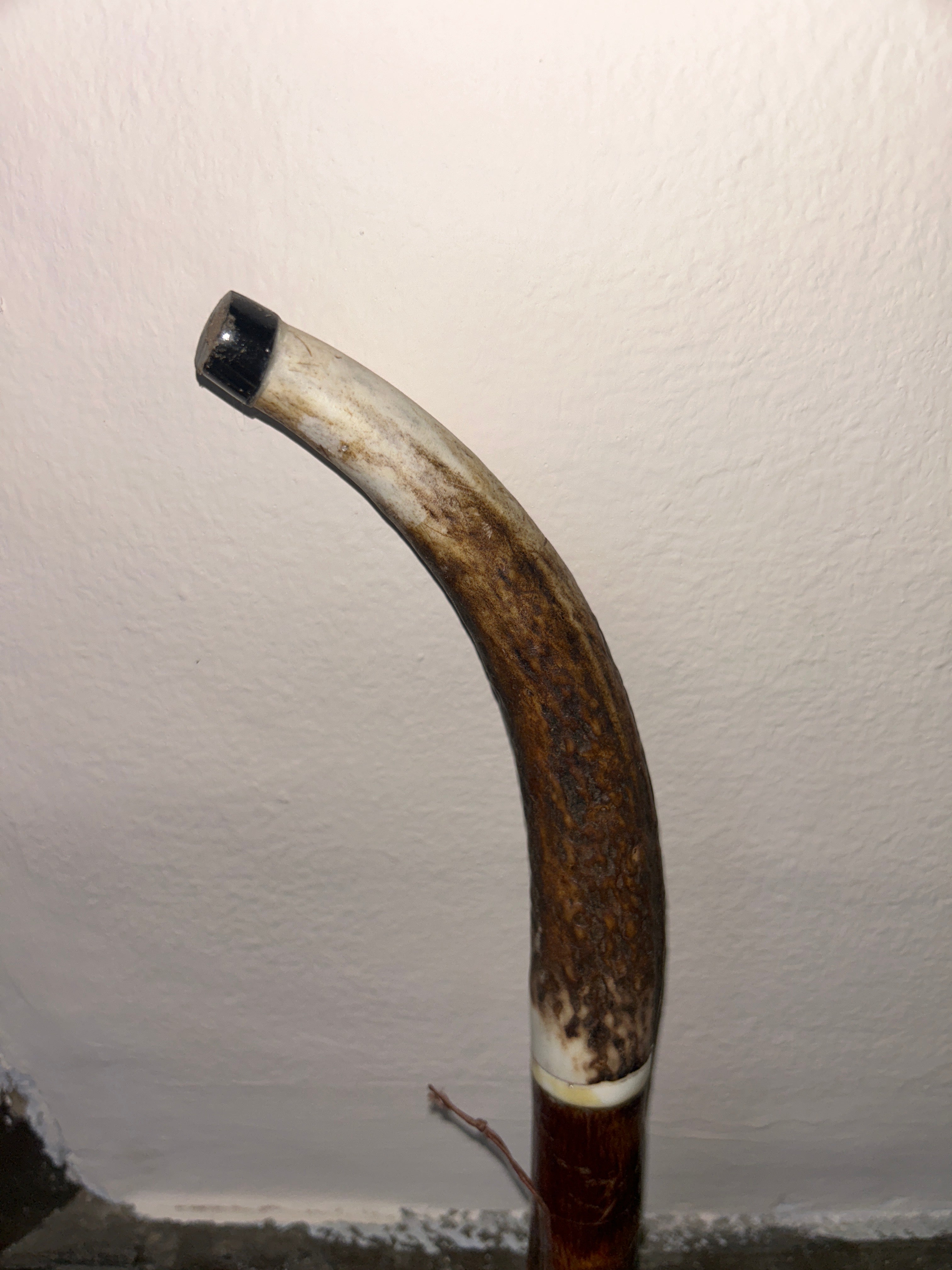 Walking stick