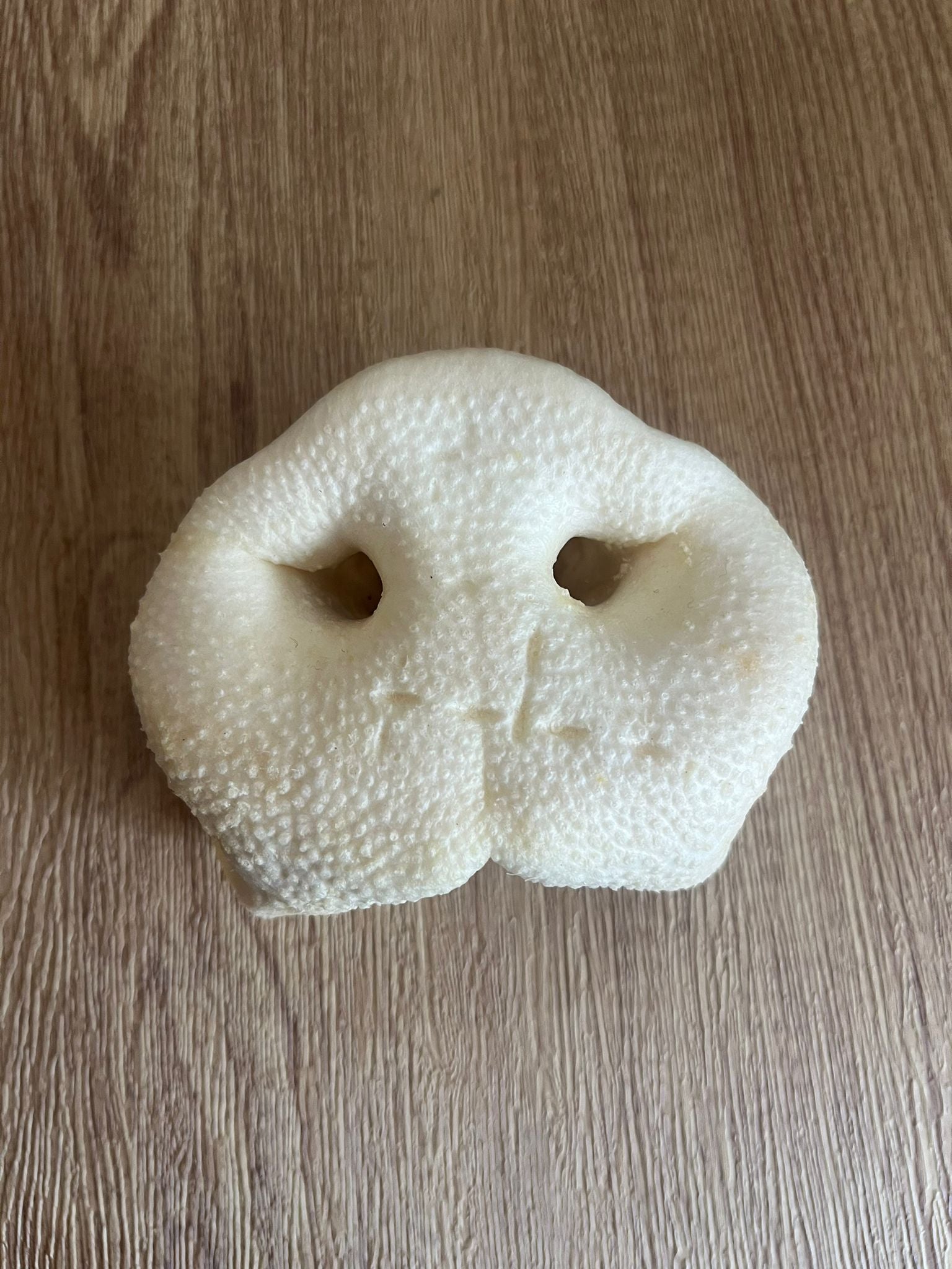 Puffed Pig Snout