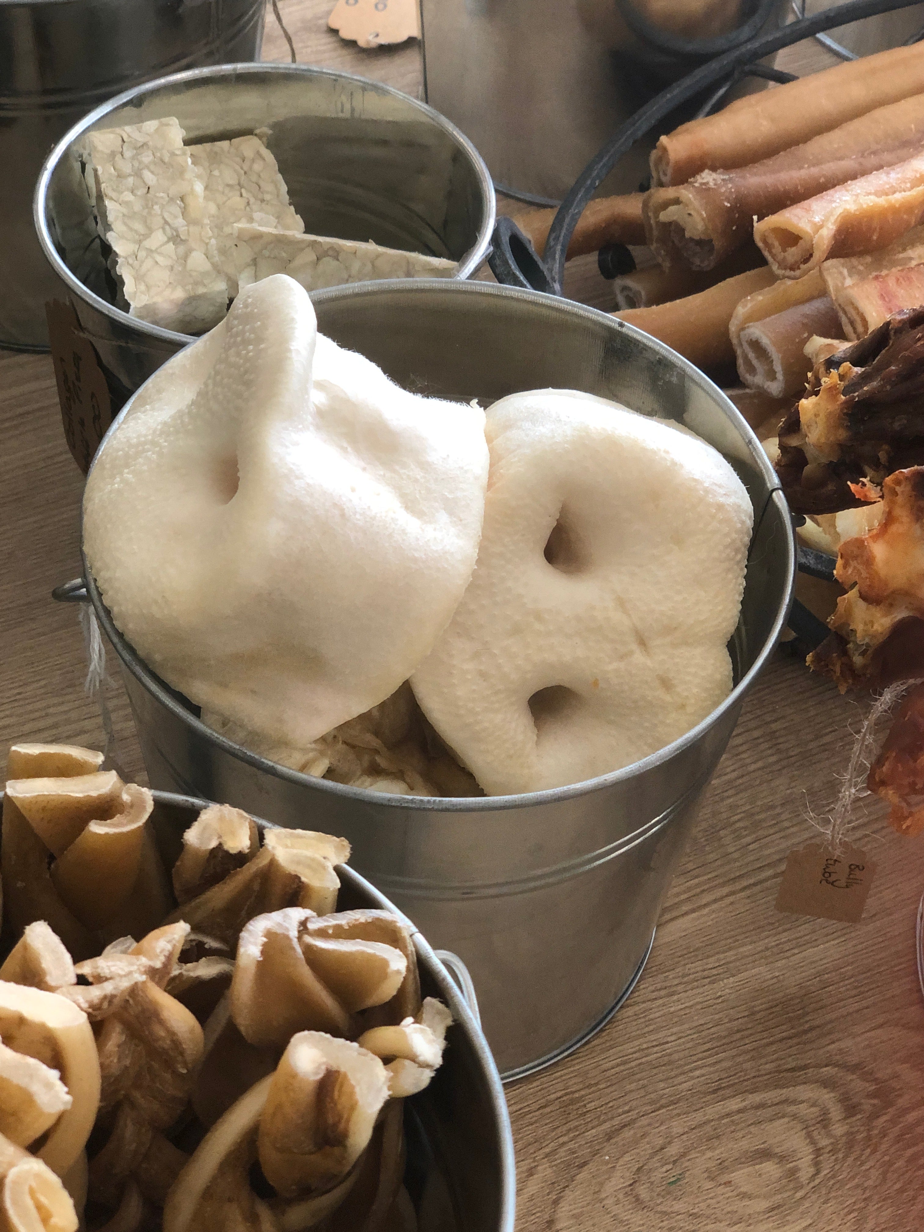 Puffed Pig Snout