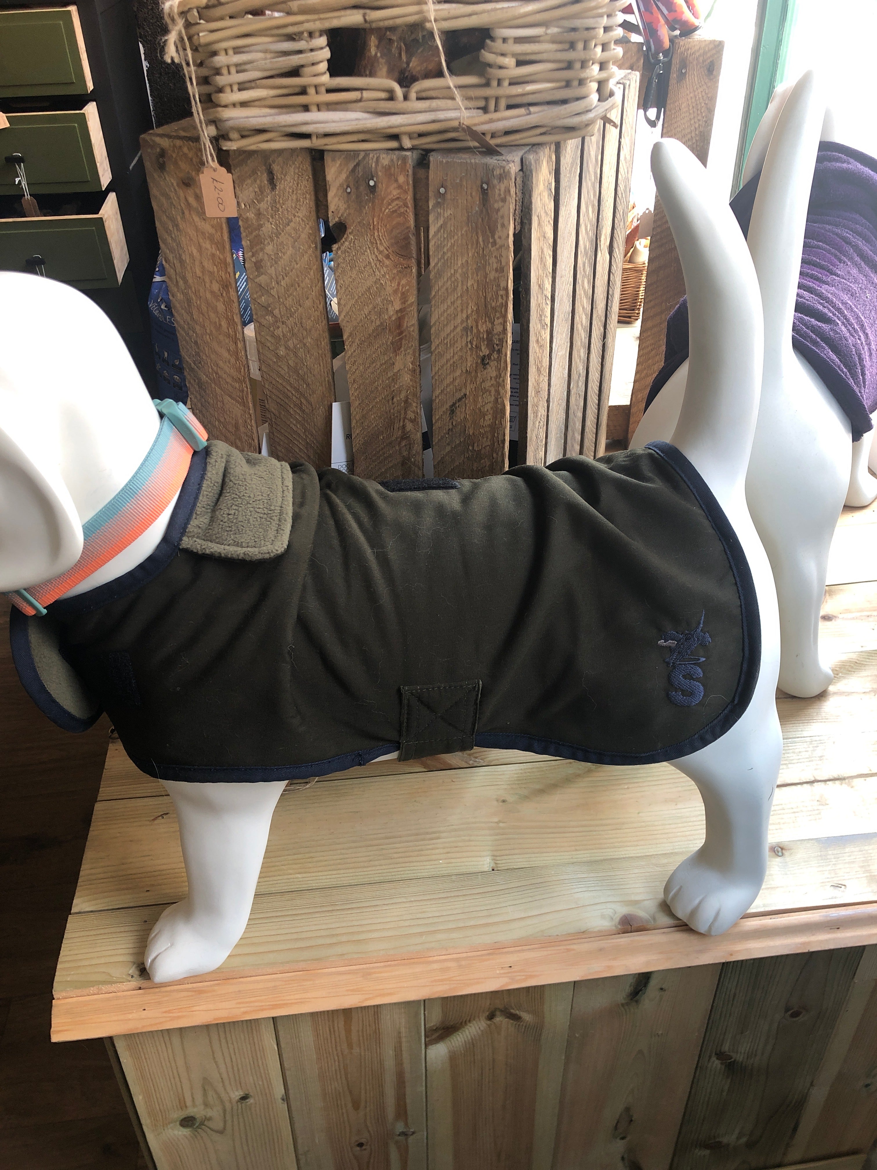 Winslow dog coat size 16
