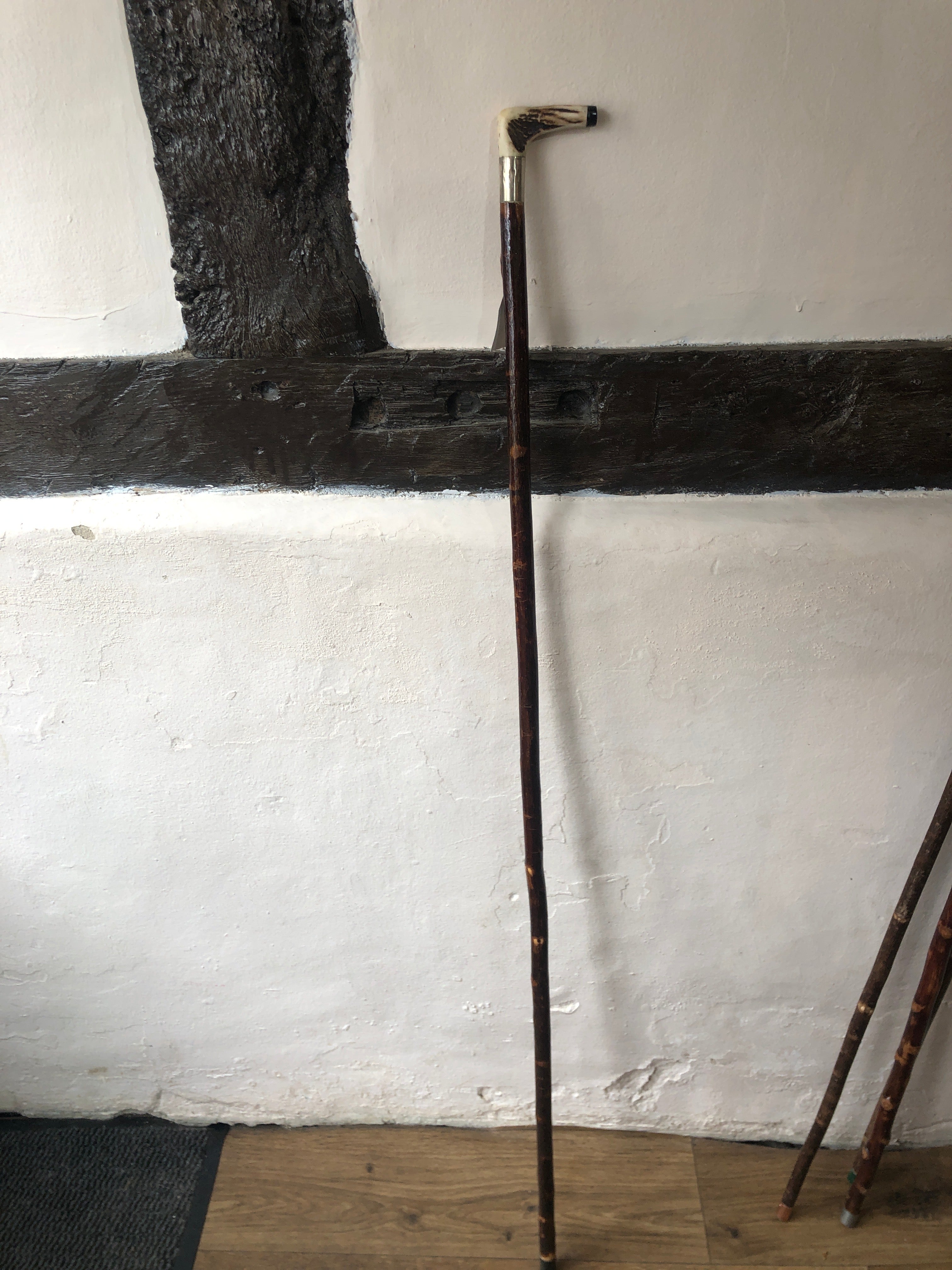 Walking stick