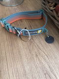 Ruffwear Front Range Collar in Spring Fade