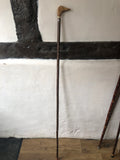 Walking stick