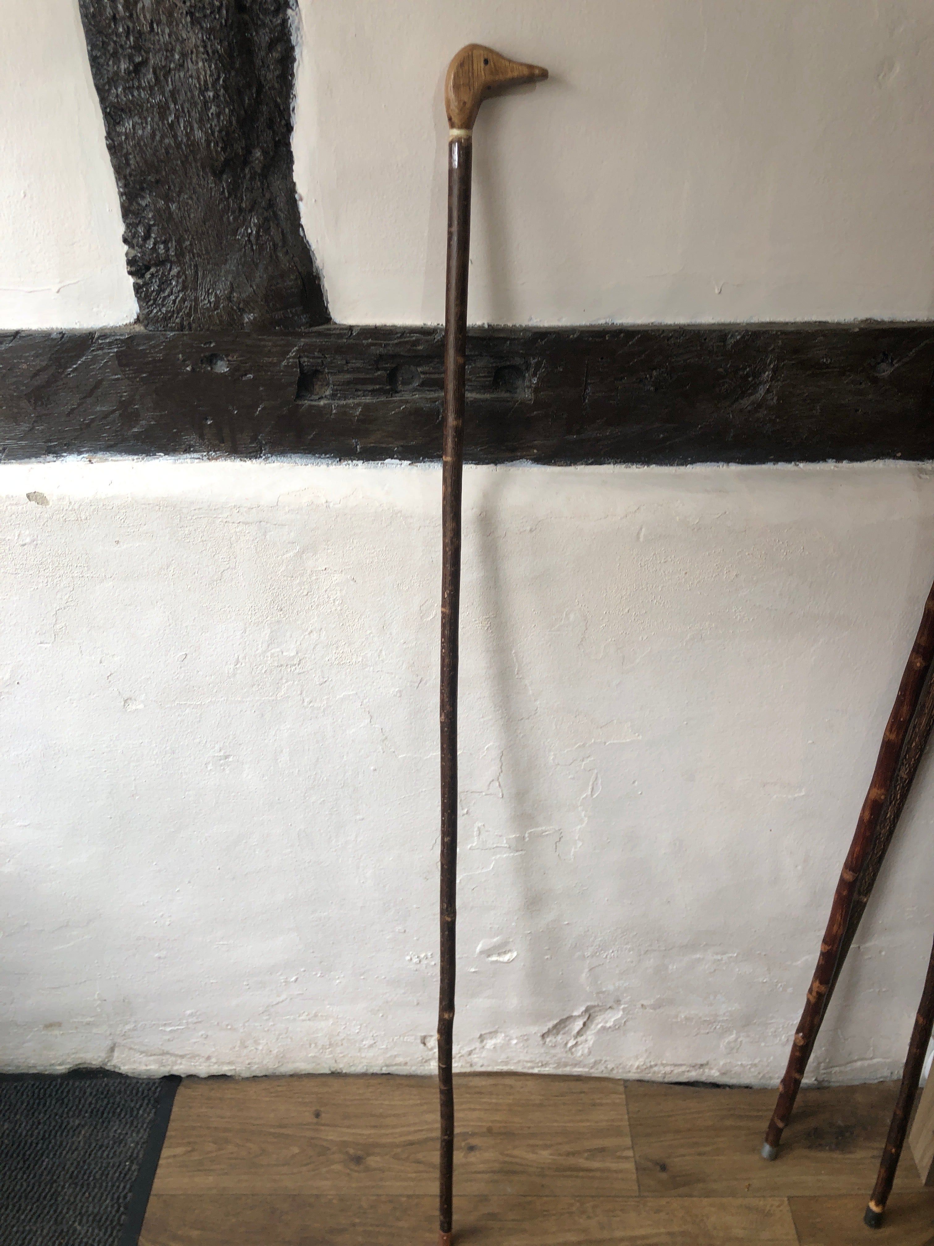 Walking stick