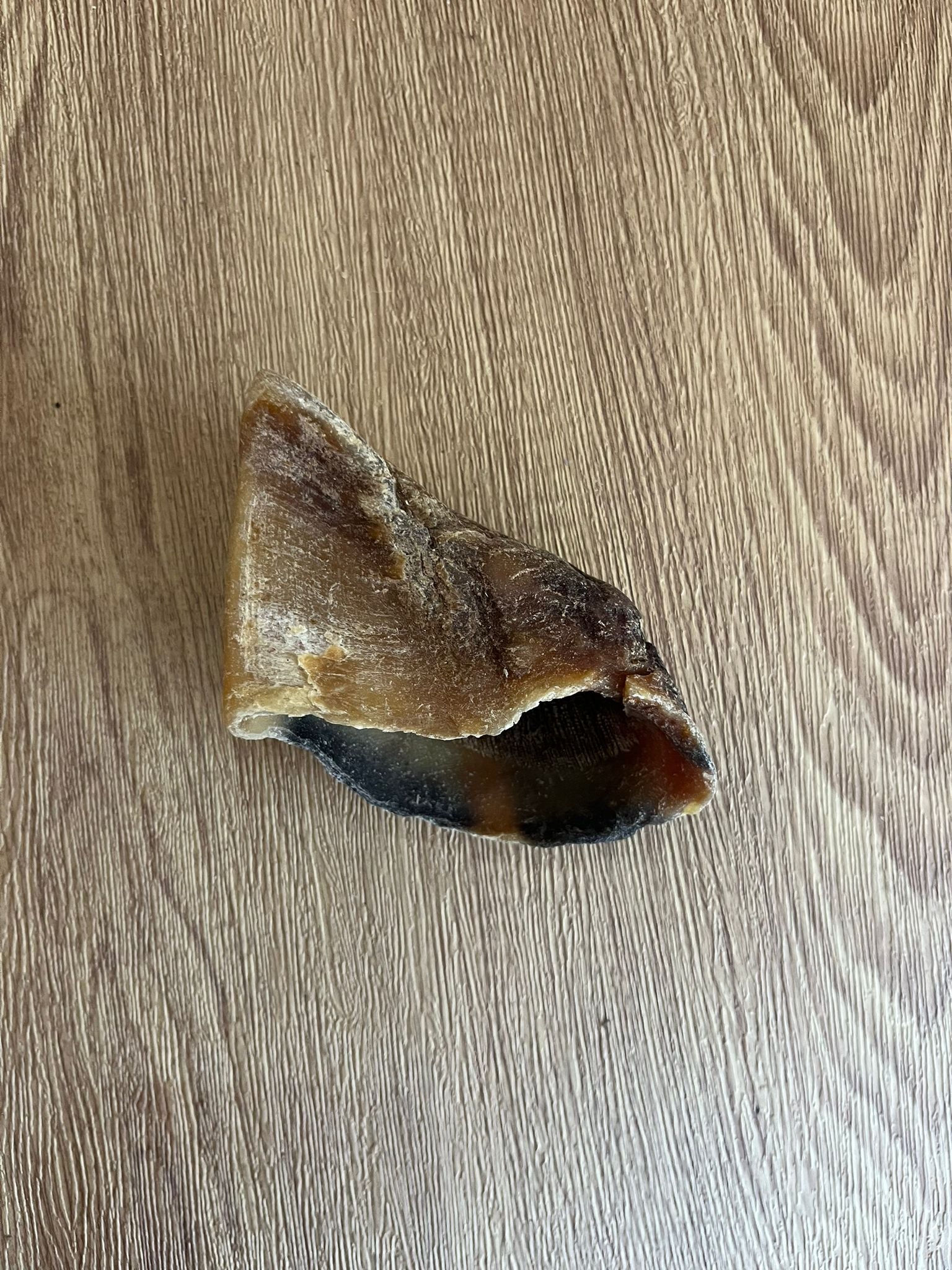 Empty Cow Hooves