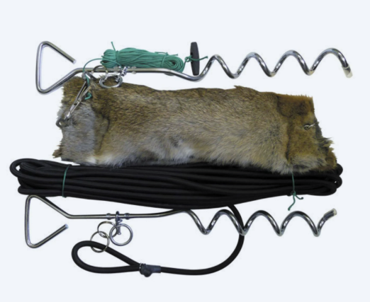 Bolting Rabbit